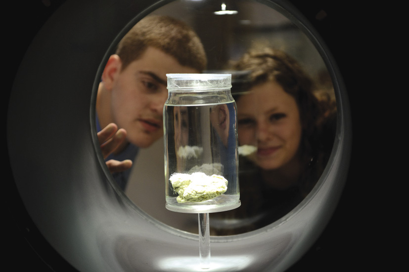 בתמונה: נוער בגן המדע מתבונן בדגם- בתערוכת "תפעילו ת'מוח"